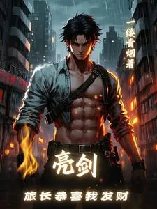 《亮剑，旅长恭喜我发财》小说封面