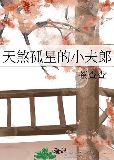 《天煞孤星的小夫郎》小说封面