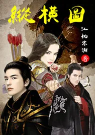 《纵横图》小说封面