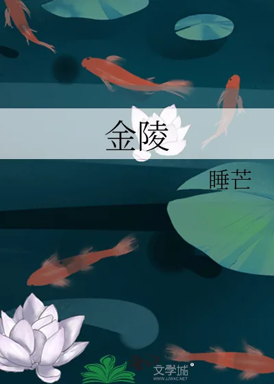 《金陵》小说封面