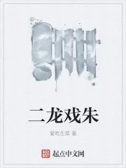 《二龙戏朱》小说封面