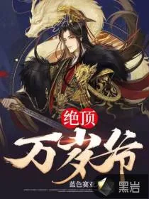 《绝顶万岁爷》小说封面