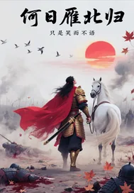 《何日雁北归》小说封面