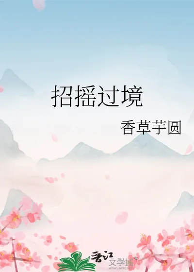 《招摇过境》小说封面