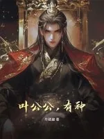 《叶公公，有种！》小说封面