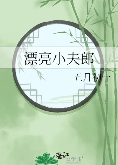 《漂亮小夫郎》小说封面