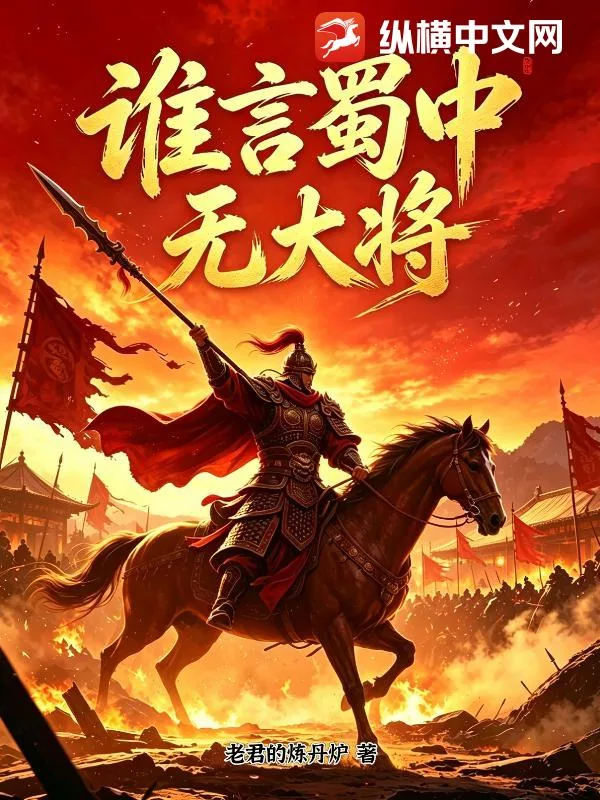 《谁言蜀中无大将》小说封面