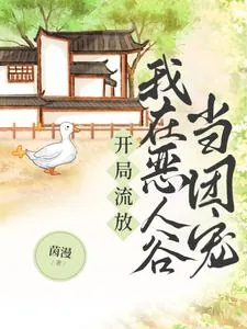 《开局流放，我在恶人谷当团宠》小说封面