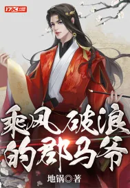 《乘风破浪的郡马爷》小说封面