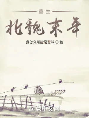 《重生北魏末年》小说封面