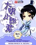 《大明小郎君》小说封面