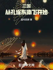 《三国从孔雀东南飞开始》小说封面