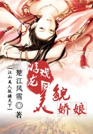 《游龙戏凤之美貌娇娘》小说封面