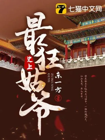 《史上最狂姑爷》小说封面