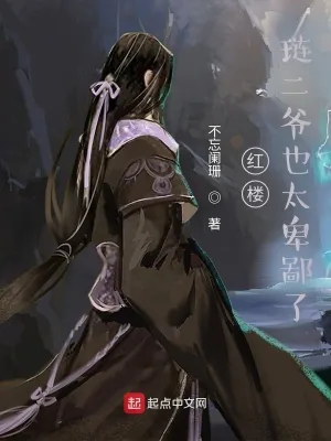 《红楼，琏二爷也太卑鄙了》小说封面