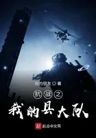 《抗战之我的县大队》小说封面