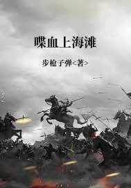 《喋血上海滩》小说封面
