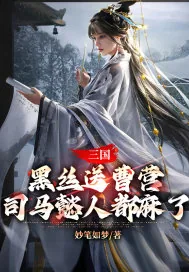 《三国:黑丝送曹营,司马懿人都麻了》小说封面