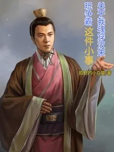 《关于我魂穿汉末玩争霸这小事》小说封面