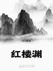 《红楼渊》小说封面