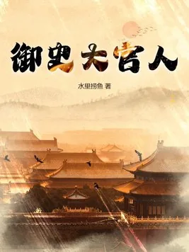 《御史大官人》小说封面