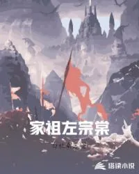 《家祖左宗棠》小说封面