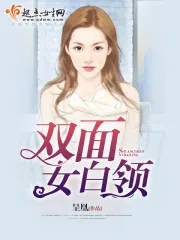 《双面女白领》小说封面