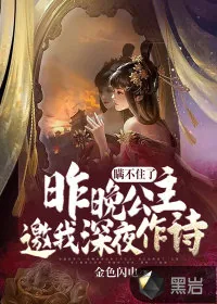《瞒不住了：昨晚公主邀我深夜作诗》小说封面