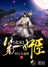 《北宋第一奸臣》小说封面