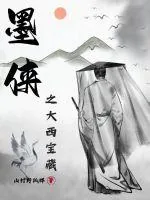《墨侠之大西宝藏》小说封面