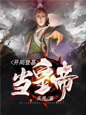 《夏子辰孙若微》小说封面