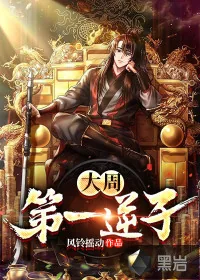 《大周第一逆子》小说封面