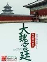 《大魏天子赵元偲》小说封面