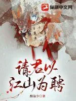 《请君以江山为聘》小说封面