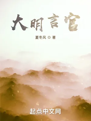 《大明言官》小说封面
