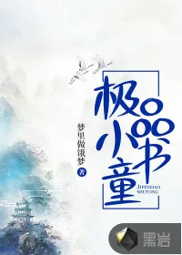 《极品小书童》小说封面