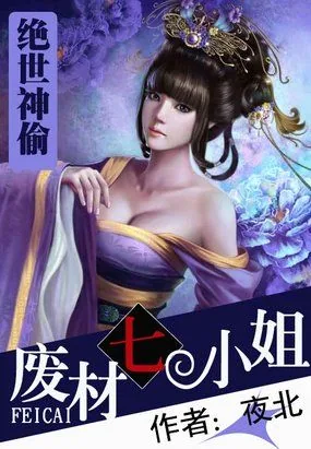 《绝世神偷》小说封面