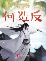 《陛下因何造反》小说封面