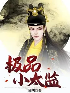 《极品小太监》小说封面