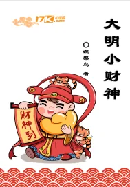 《大明小财神》小说封面