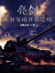 《亮剑：从赵家峪开始震惊》小说封面