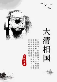 《大清相国.》小说封面