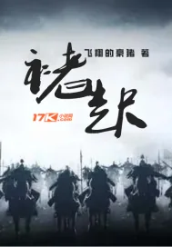 《褚起》小说封面
