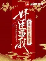 《奸臣逼我把他写得又辣又帅》小说封面