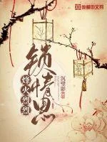 《烽火烈烈锁情思》小说封面