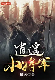 《逍遥小将军》小说封面