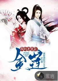 《我的老婆是金莲》小说封面