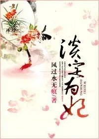 《淡定为妃》小说封面