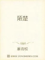 《陌楚》封面