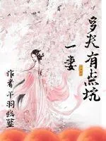 《一妻多夫有点坑》封面